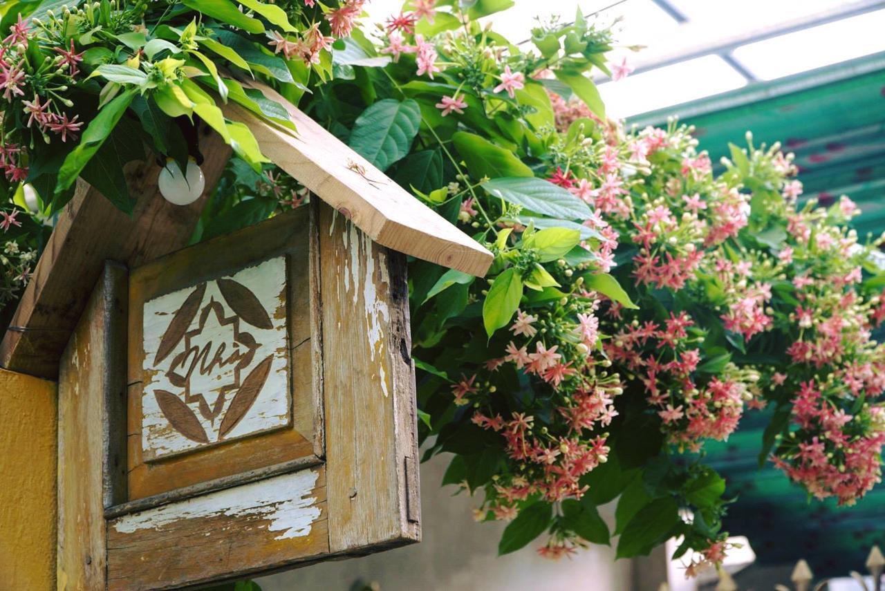 Nha Homestay دا نانغ المظهر الخارجي الصورة