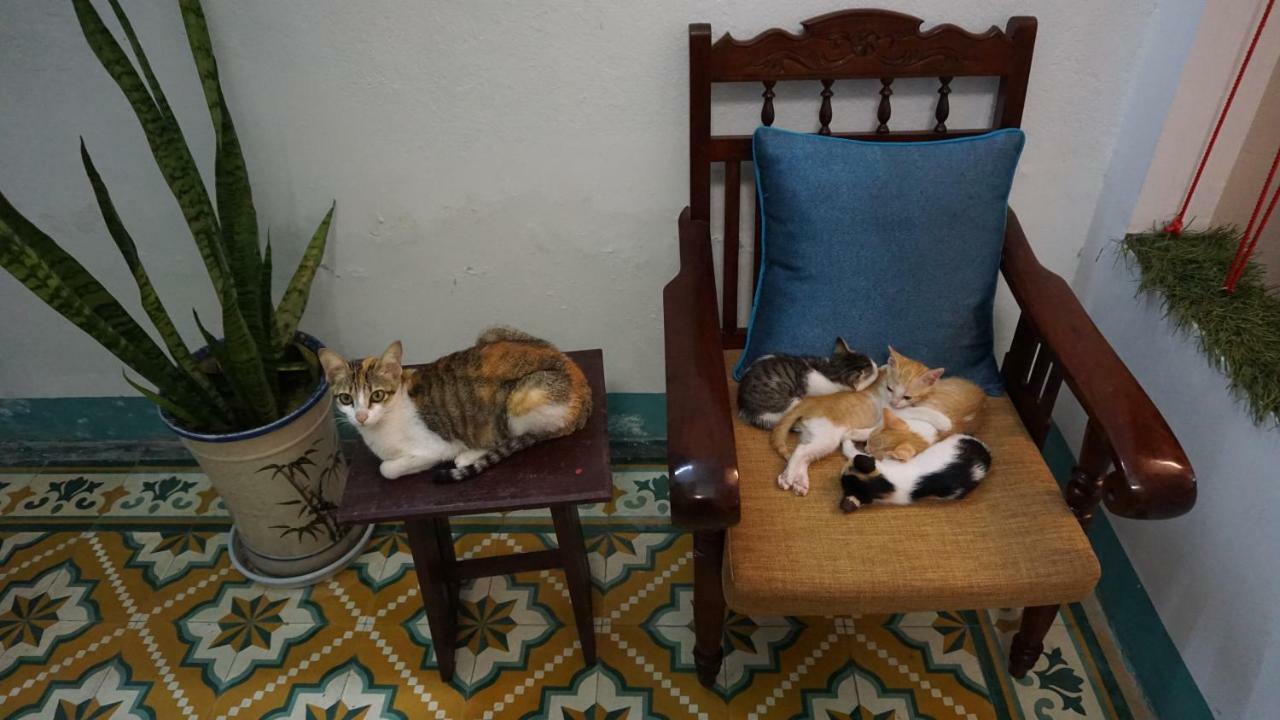 Nha Homestay دا نانغ المظهر الخارجي الصورة