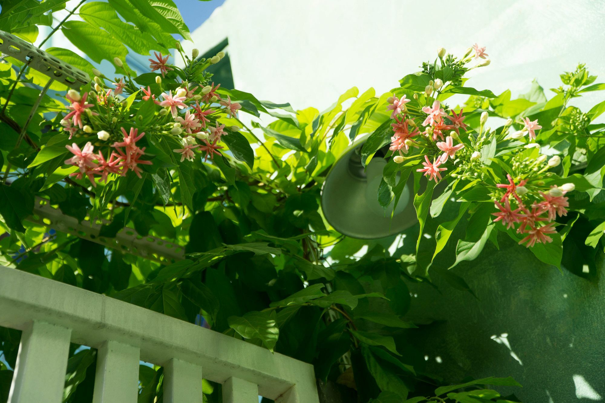 Nha Homestay دا نانغ المظهر الخارجي الصورة