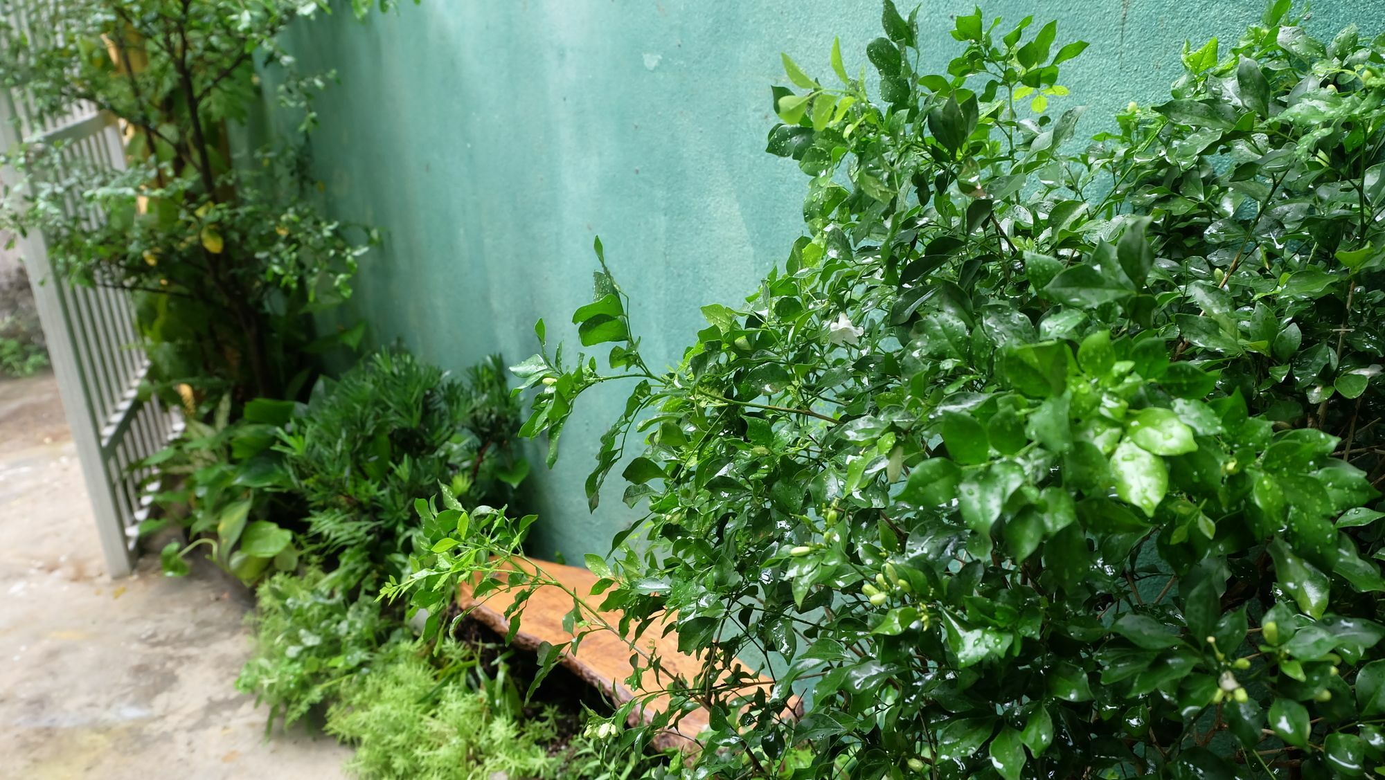 Nha Homestay دا نانغ المظهر الخارجي الصورة